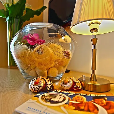 Hotel Castiglione 3*